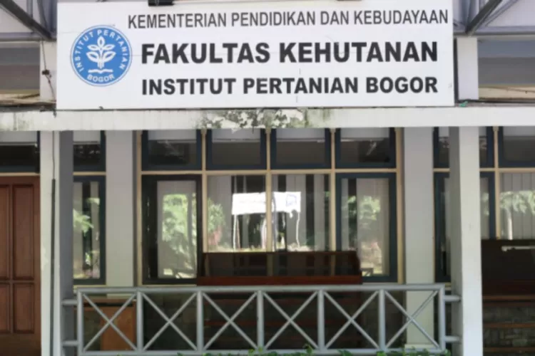 Daftar Fakultas Kehutanan Terbaik Di Indonesia